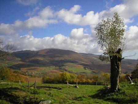 Vila La Begude D'Amalthee Vernay Exteriér fotografie